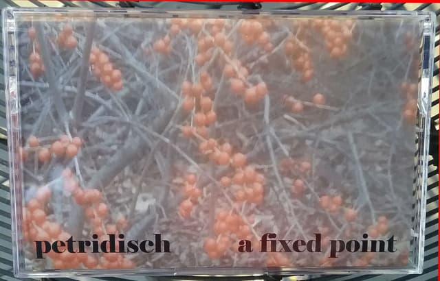 Petridisch - A Fixed Point
